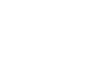 Google Partner