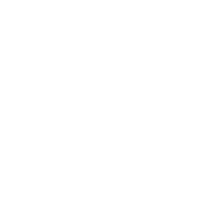 Google Partner
