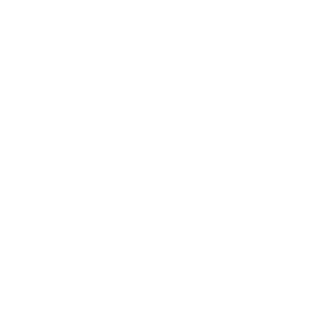 Meta Partner