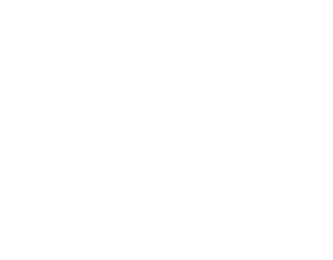 Microsoft Partner