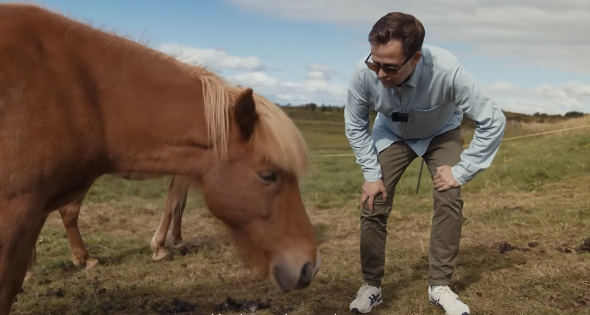 TINA screenshot Ghisli horses