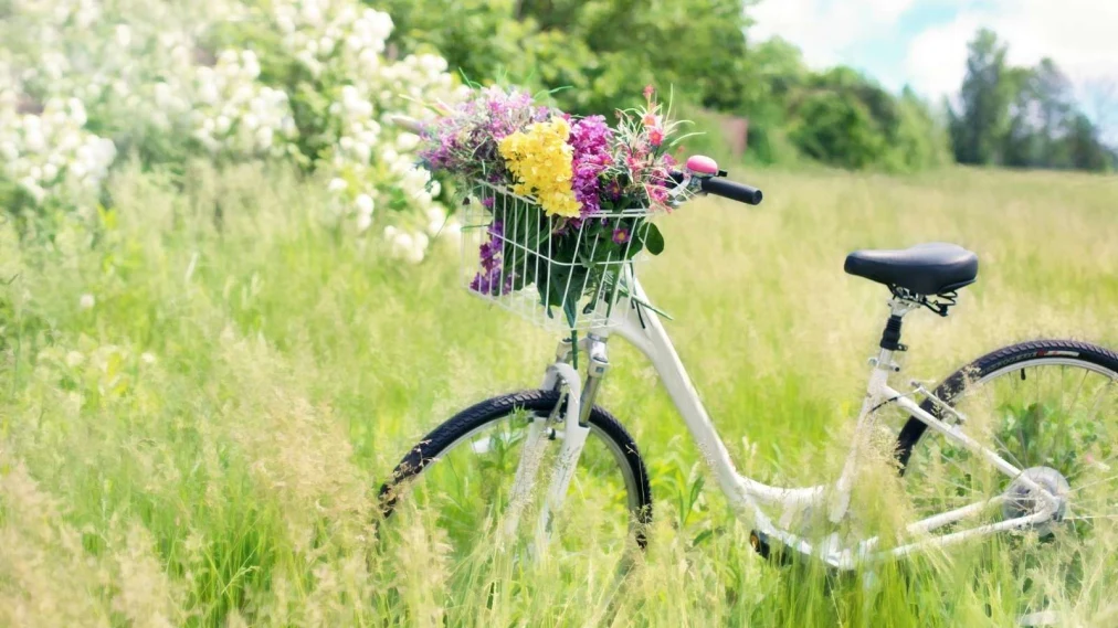 Bicycle in a field with flowers in the basket