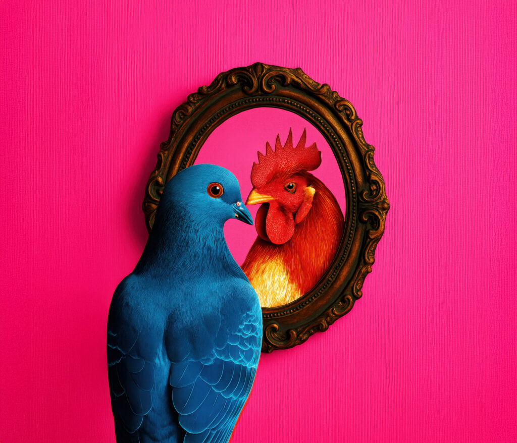 16 Pigeoncock